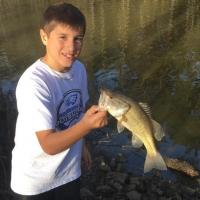 Nice Bass