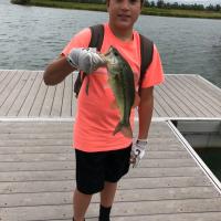 Bass fishing