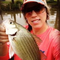Nice bass