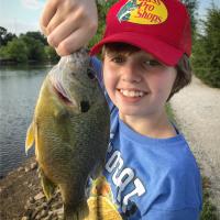 Nephew Catching Fat Bluegill
