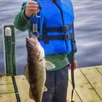 This catch was so easy