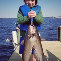 These fish are heavy