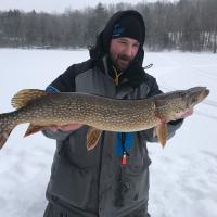 Small backwoods Lake Pike
