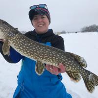 Northern Pike Top Side