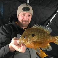 11 Inch Hybrid Bluegill on a K-Rip