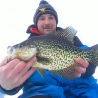 Late Ice Crappie