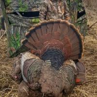 This turkey is my size
