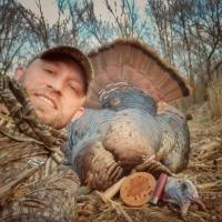 Turkey Fever