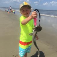 Yep - I fish for shark too