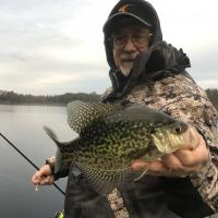 Reed bed crappie in the rain