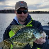 Spinner Bait Crappie