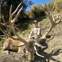 2020 New Zealand Red Stag
