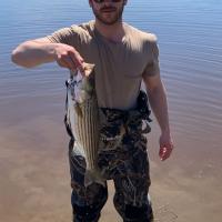 Bass fishing - stripers