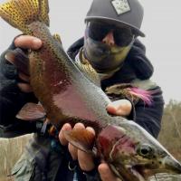 Nice Rainbow