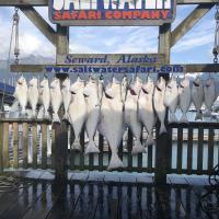 Fishing Alaska