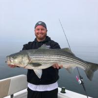 Nice Bass