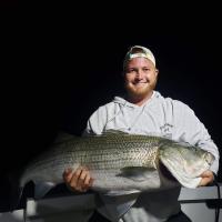 Night time Stripper Bass