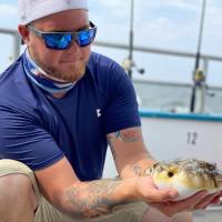 Gently Holding Puffer Fish