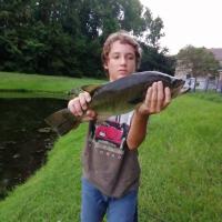 Pond Black Bass