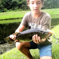 Pond Fishing Black Bass