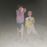 Night fishing - shark
