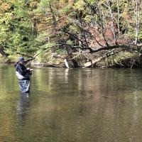 Fly Fishing for Salmon