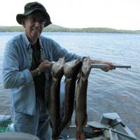 6 lb, 7 lb and 8 lb Pike