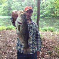 Big Bass