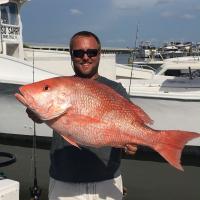 Nice Size Snapper