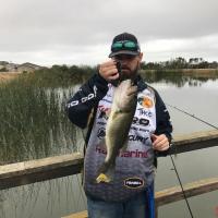 Nice Bass