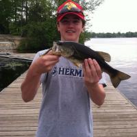 Harry's Bass