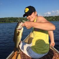 Matt's Bass