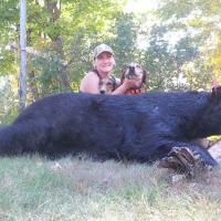 New Hampshire Black Bear
