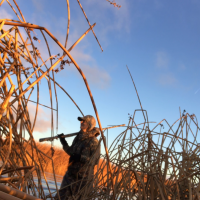 Scouting for Duck