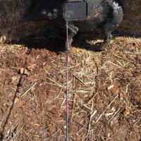 Bow Practice