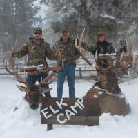 Elk Camp IMG 0216