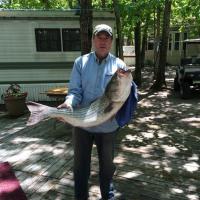 Toms' Striper Bass