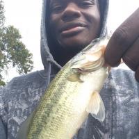 First bass