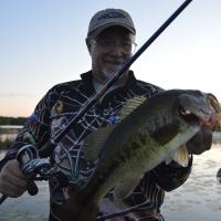 Large Mouth Bass on a Beetle Spin