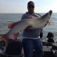 Green Bay Giant
