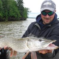 Northern Ontario Pike