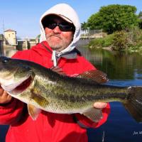 Mark8bassposeuncropped Bass