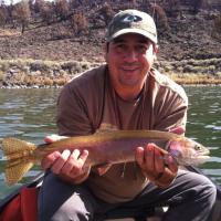 Heenan's 2015 Trout