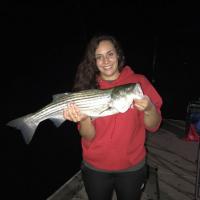 Nice Striper Bass