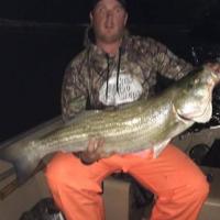 Night fishing for stripe bass