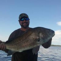 Black Drum on board