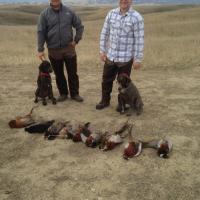 Family PheasantHunt