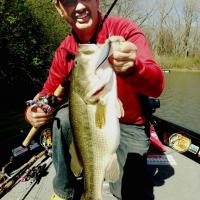 Fishing with Searchbait