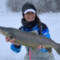 Nice Lake Superior Brown Trout
