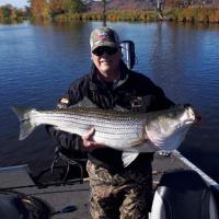 Good Size Striped Bass